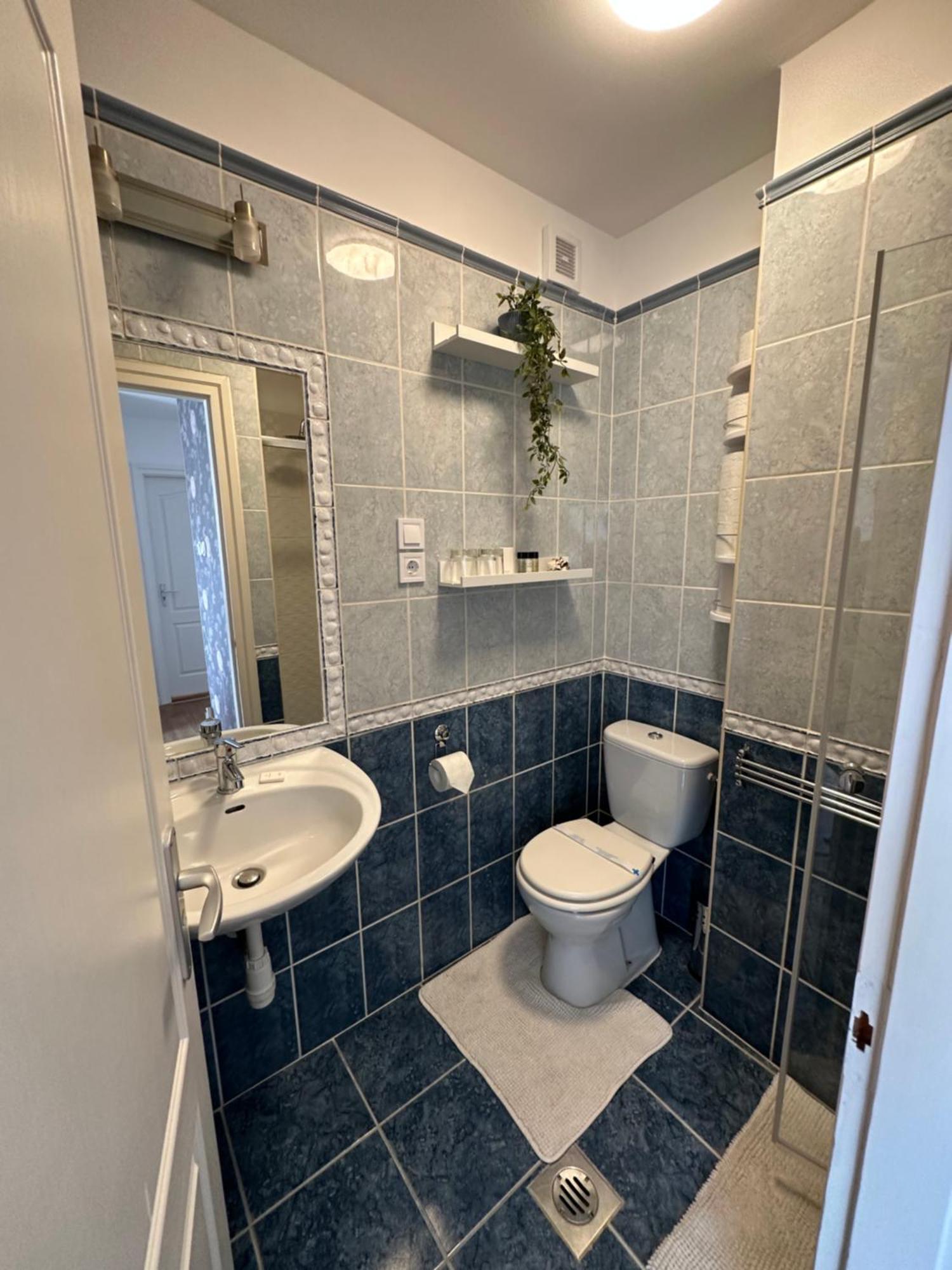 Centroom Apartment Budapest Luaran gambar